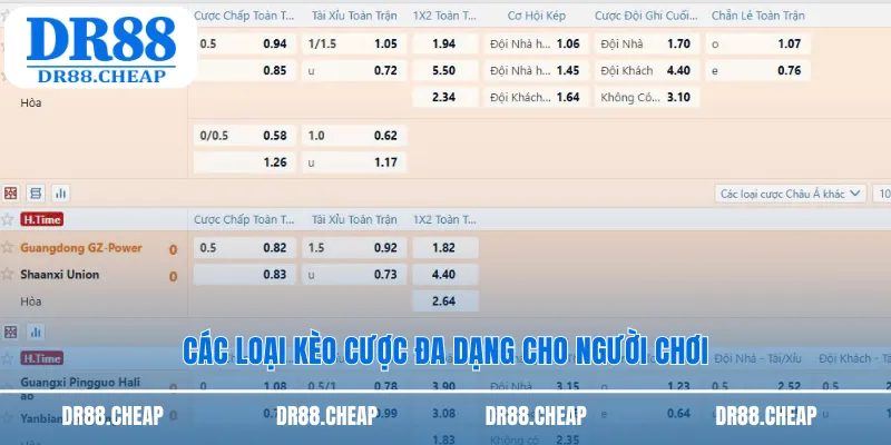 Các loại kèo cược đa dạng cho người chơi