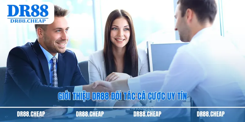 Giới thiệu DR88 đối tác cá cược uy tín