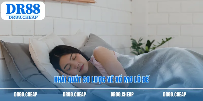 Khái quát sơ lược về xổ mơ lô đề