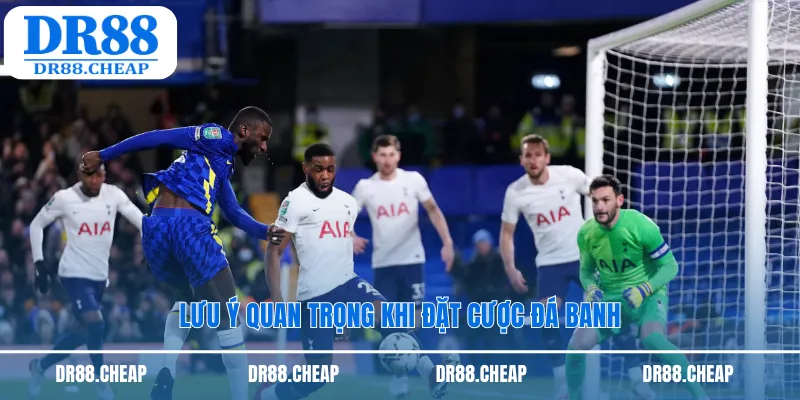 Lưu ý quan trọng khi đặt cược đá banh