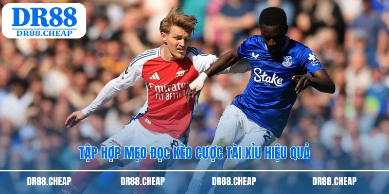 Tập hợp mẹo đọc kèo cược tài xỉu hiệu quả