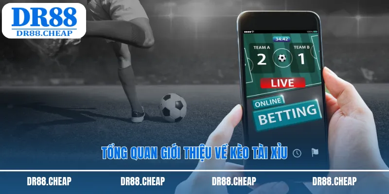 Tổng quan giới thiệu về kèo tài xỉu