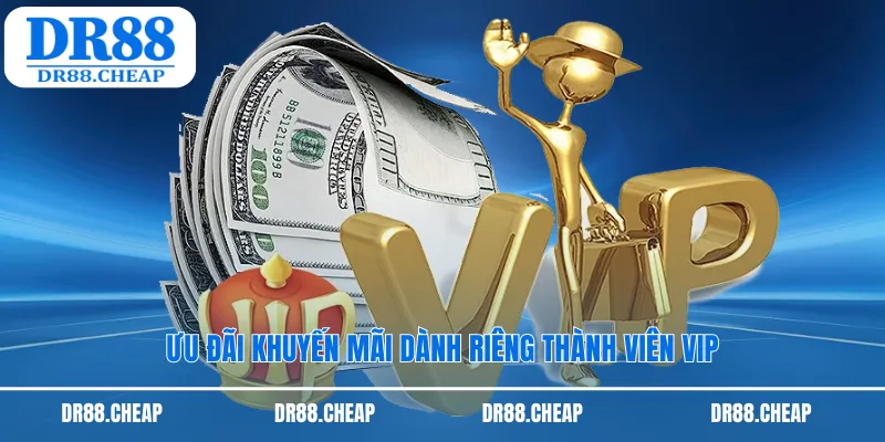 Ưu đãi khuyến mãi dành riêng thành viên VIP