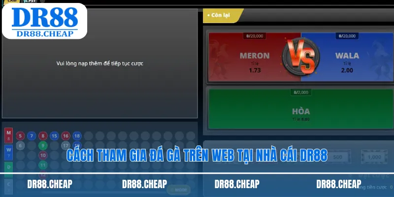 Cách tham gia đá gà trên web tại nhà cái dr88