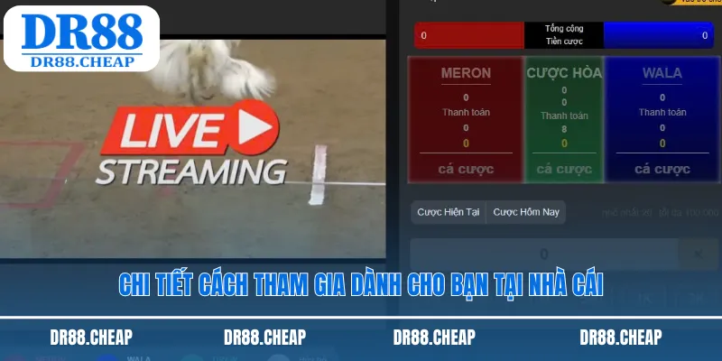 Chi tiết cách tham gia dành cho bạn tại nhà cái