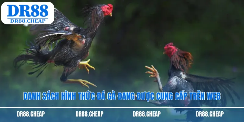 Danh sách hình thức đá gà đang được cung cấp trên web