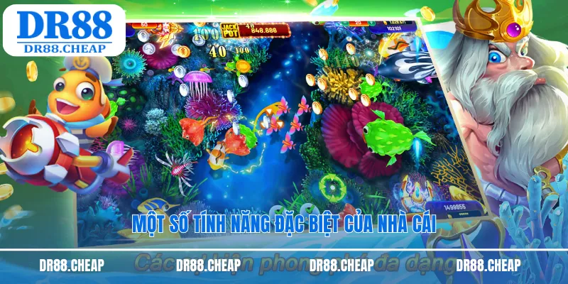 Một số tính năng đặc biệt của nhà cái