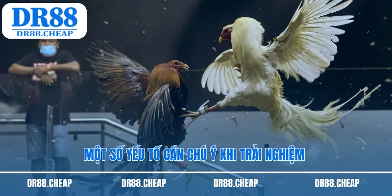 Một số yếu tố cần chú ý khi trải nghiệm