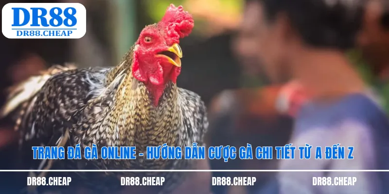 Trang đá gà online